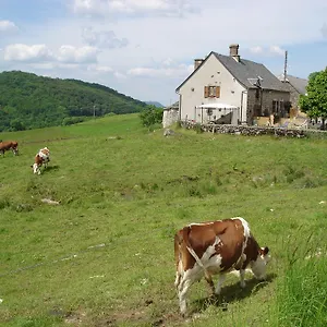 Séjour à la ferme Chez Marraine, Sauvat